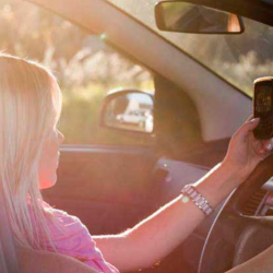 Auto Insurance