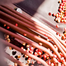 Seed Treatments