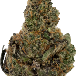 Jasmin’s Barn Picks