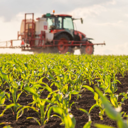 Ag Loans & Lending