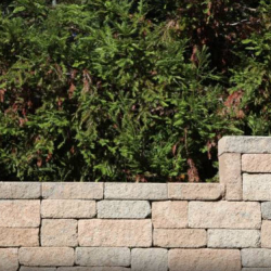 Hardscaping