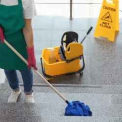 Janitorial Services