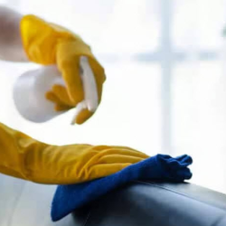 Disinfection and Sanitization Services