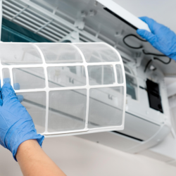 Cleaning and Inspection Service