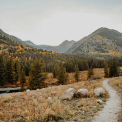 Trailhead Shuttle