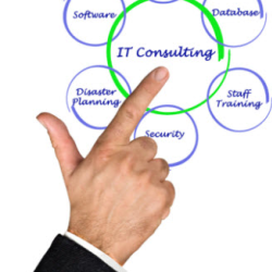 IT Consulting