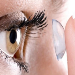 Contact Lenses