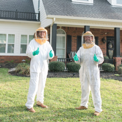 Bee Removal