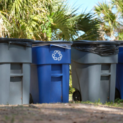 Trash Collection & Recycling