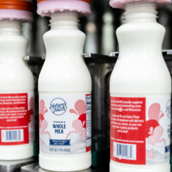 Dairy