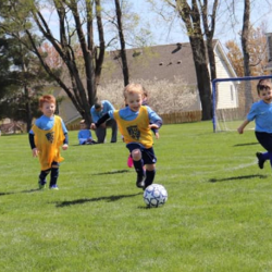 Soccer Fields
