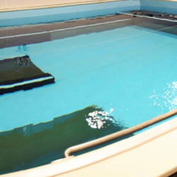 Pool Punch Cards
