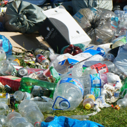 Garbage & Junk Bin Rental