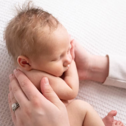 Newborn Photography