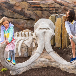Play Sculptures