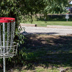 Fun things to do at Island Acres