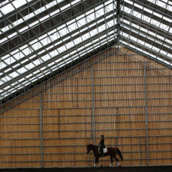 Horse Arenas