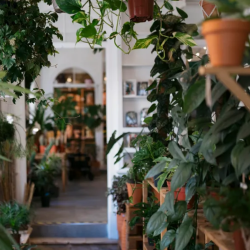 Health Monitoring and Care Documentation