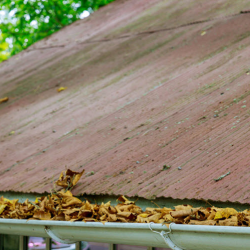 Gutter Cleaning