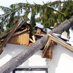 Storm Damage Repair Services