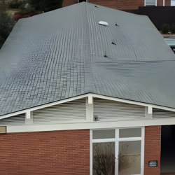 Professional Roofing Services