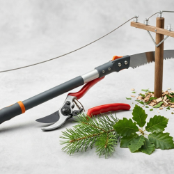 Vegetation Management