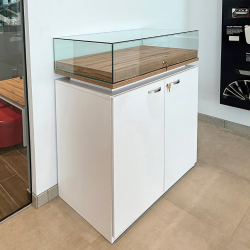 Custom Glass Displays