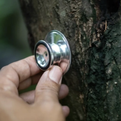 Tree Health Assessments