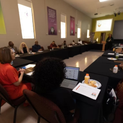 Supportive Family Connections Program