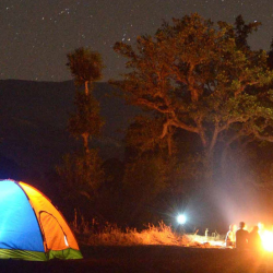 Tent Campsites