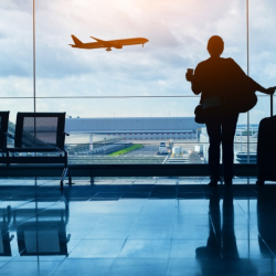 Flights & Car Rentals