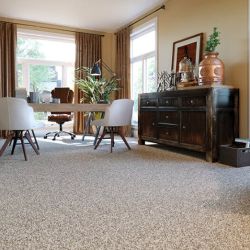 Carpet Re-stretch