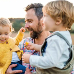 Universal Life Insurance