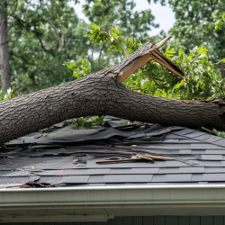 Storm Damage Restoration