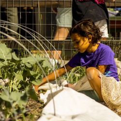 Regenerative Farming