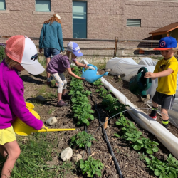 Farm to School Program