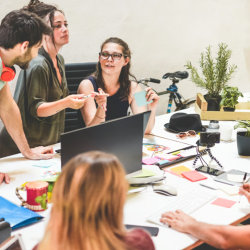 Career Services for Creators