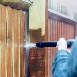 Fence Cleaning