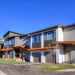 Community Development & Project Management