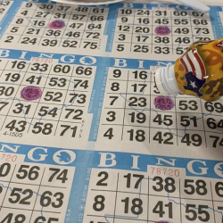 Bingo Nights