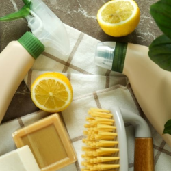 Environmental Services