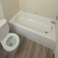 Toilet Repair & Replacement