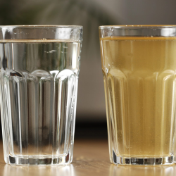 Water Softeners & Conditioners