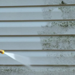 Soft Wash Exterior Cleaning