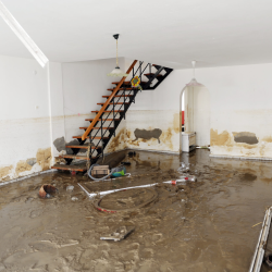 Emergency Water Damage Restoration