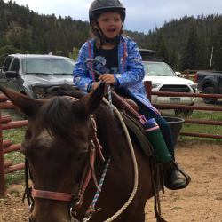 Riding Lessons