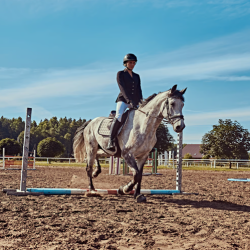 Equestrian Training