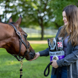 Horse Supplements & Treats