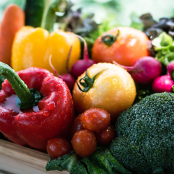 Fresh Produce