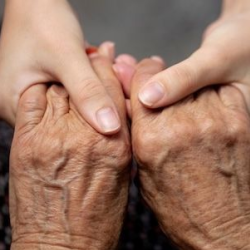 Support & Advocacy with a Wellness Navigator